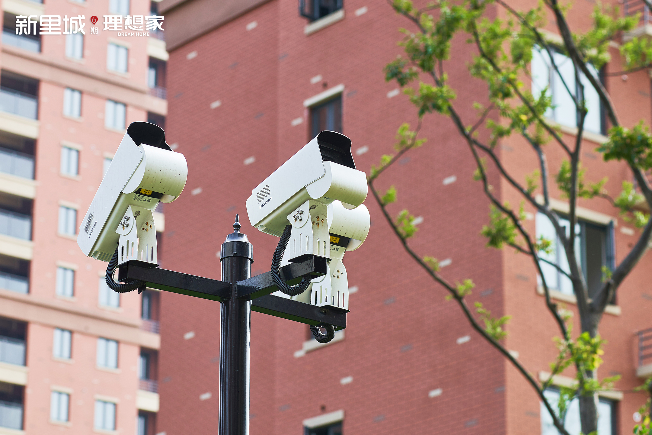 1653639035053.jpg 1653639035053.jpg