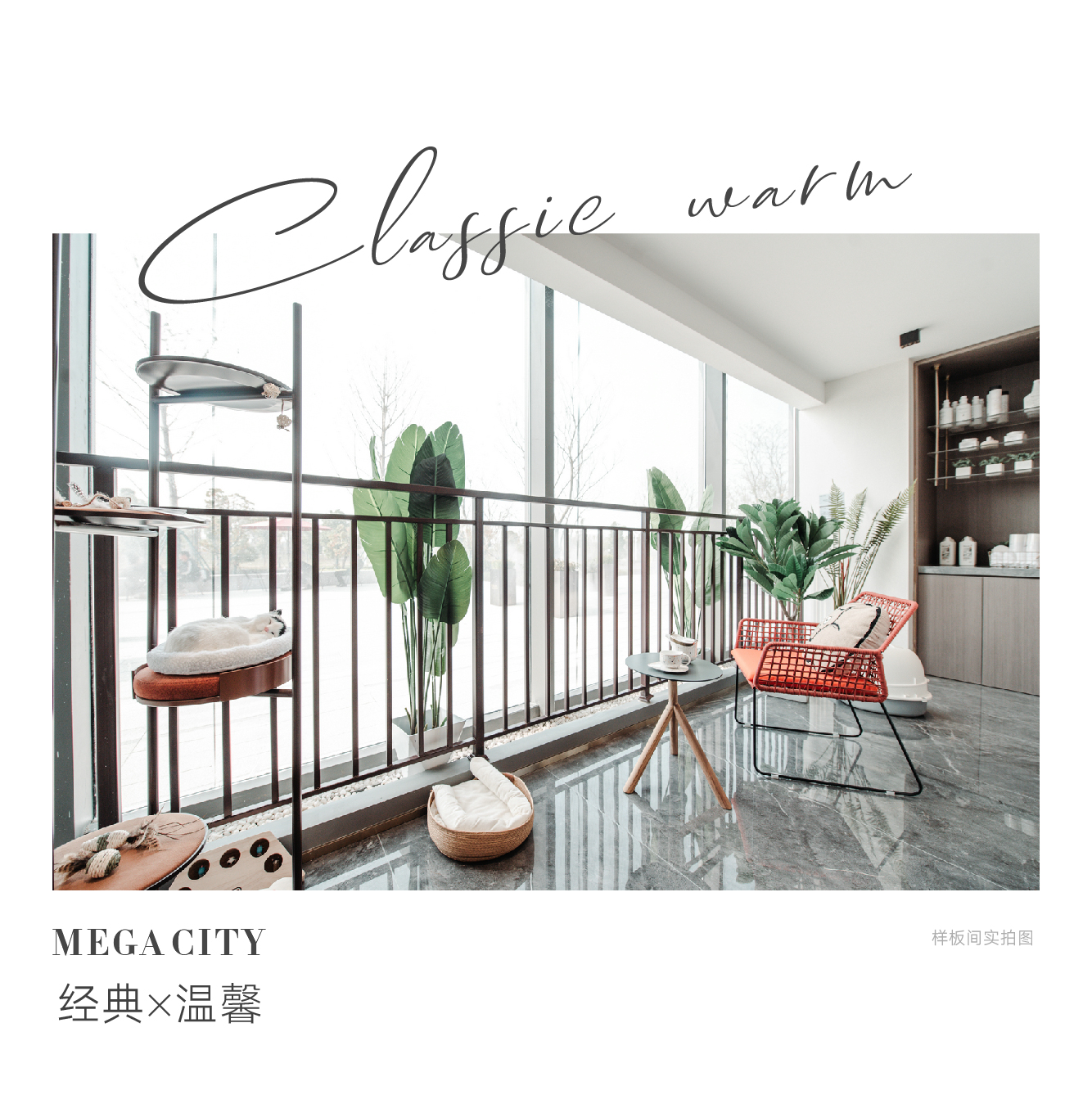 1666853122770.jpg 软文配图_画板 1 副本.jpg